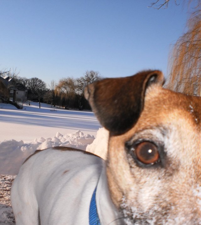 hootsie66's profile picture. Soli Deo Gloria