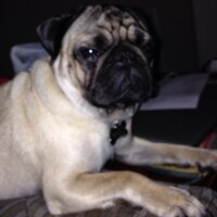 Dee wernert (@wernert_dee) 's Twitter Profile