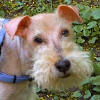 Kasyan Servetsky (@askoldich) 's Twitter Profile Photo Kasyan Servetsky (@askoldich) 's Twitter Profile Photo