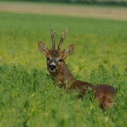 Agriculteur,producteur d'avenir, Académie d'Agriculture de France, Agr idees, Biodiversité, Passion Céréales , agri demain