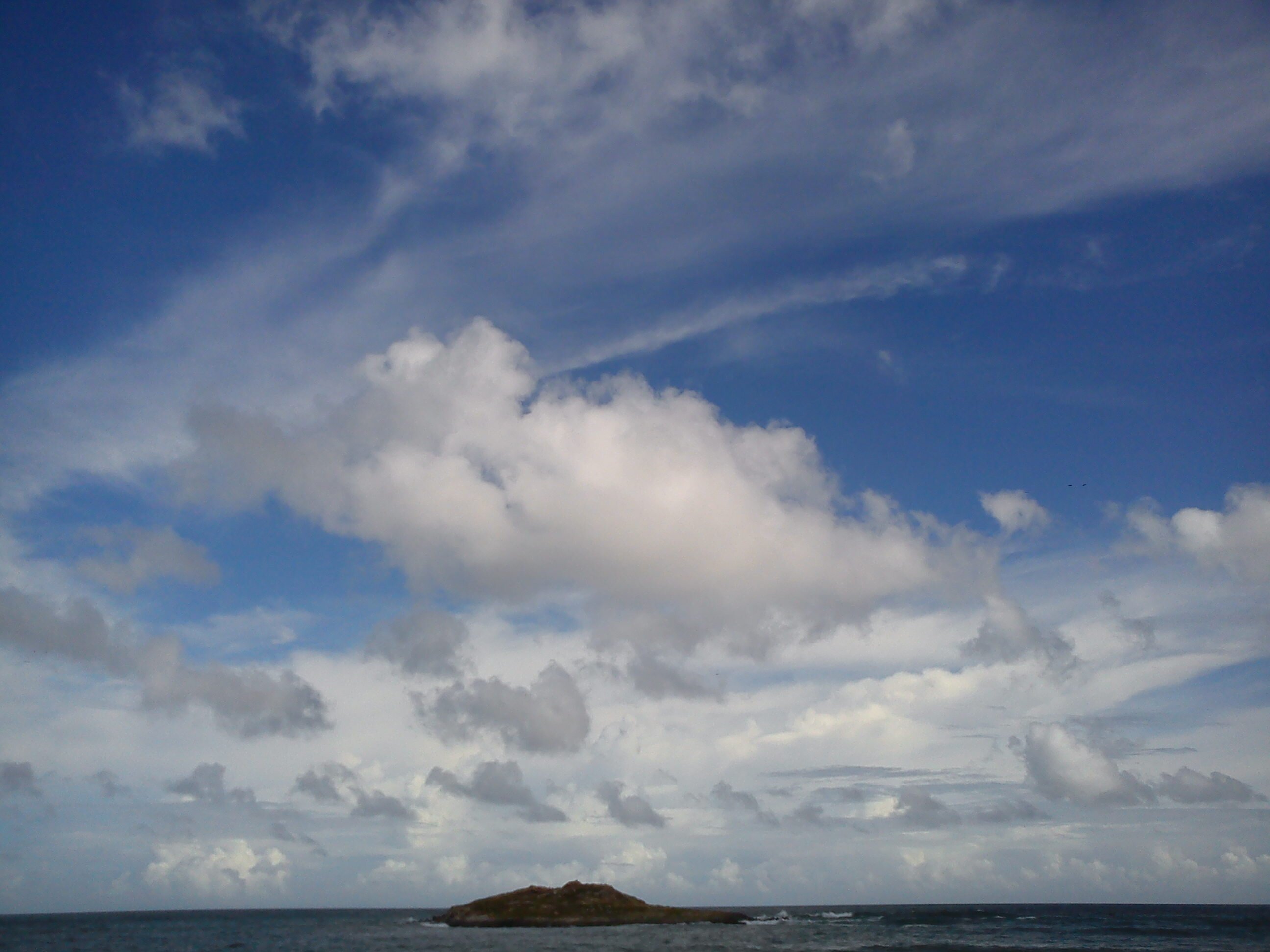 davilavillasmil's profile picture. 