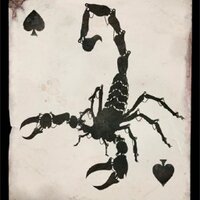 Black Scorpion minis(@BlackScorpionUK) 's Twitter Profile Photo