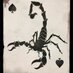 Black Scorpion minis (@blackscorpionuk) Twitter profile photo Black Scorpion minis (@blackscorpionuk) Twitter profile photo