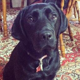 oliviawmay's profile picture. Nurse, mom, and wife who loves living in the Deep South.