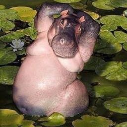 kaban_skr's profile picture. выкапываю грибы