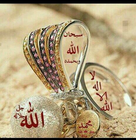 momopl543210987's profile picture. لو كل من حولك جفوك ولطيبتك ماقدروك اذكر عزيز مانساك ونسى كل اللي نسوك   دعوتكم الخاص ممنوع