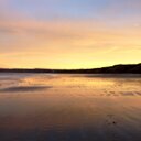 simon Bush - @simonBush1966 - Twitter