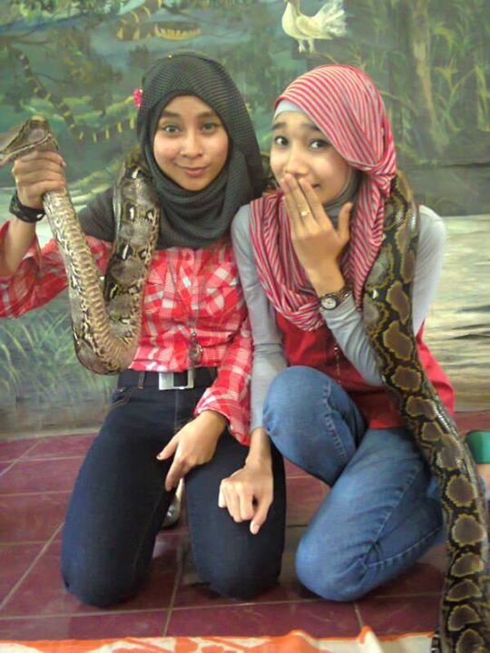 | 'Cancer girls ' , i like roys posende ^ | | ('_')
||._. I am not the best, But believe me I will be the best for you | ^_^ |