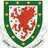 FootballWelsh's profile picture. 