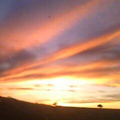 qakadir's profile picture. 