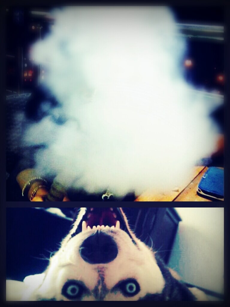 FiliaInferno's profile picture. 