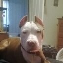 Phillip McDaniel - @73Phillip - Twitter