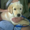 Keith Halley - @AnthonyHalley1 - Twitter