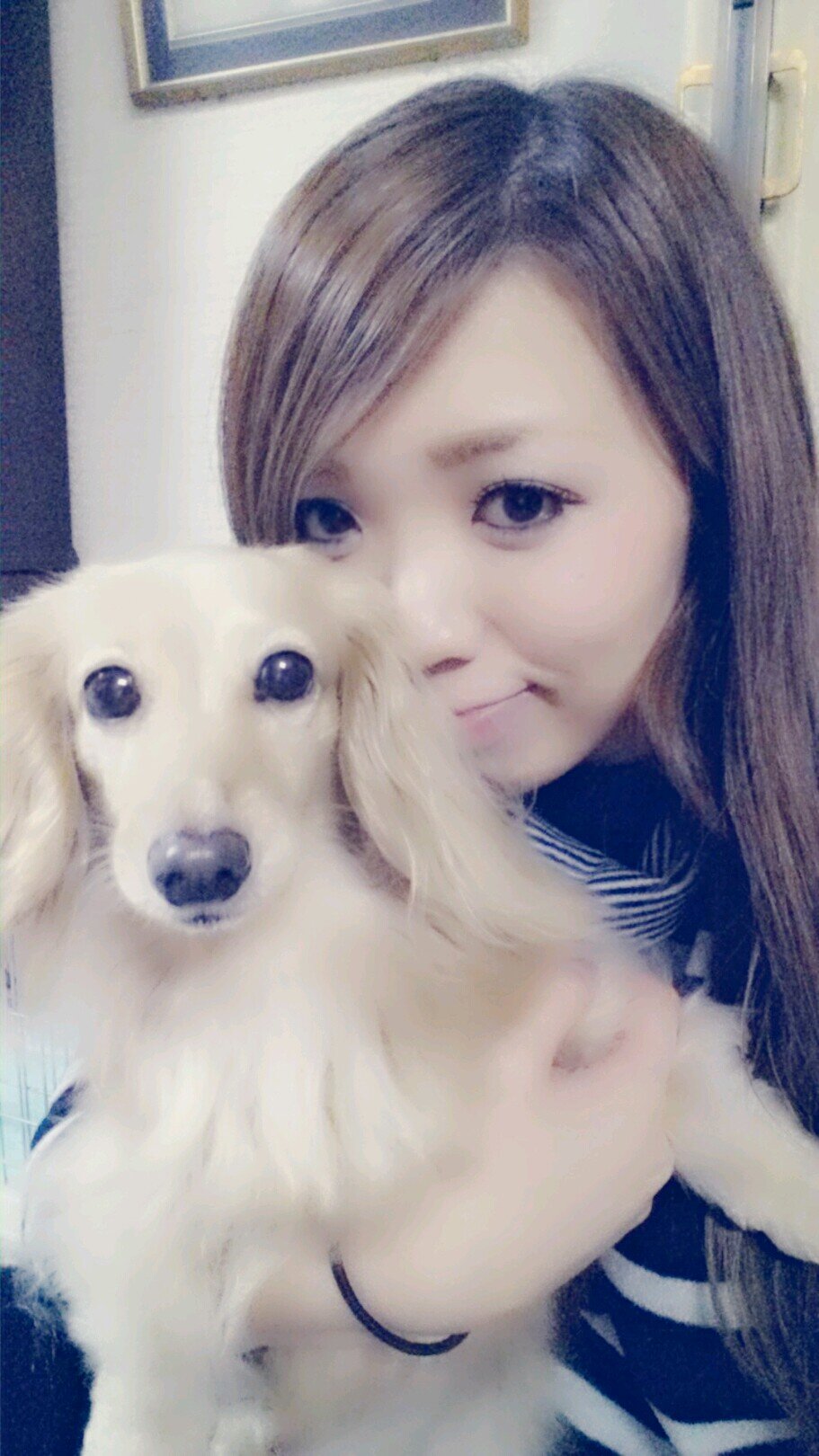 chorihhr's profile picture. 明日は明日の風が吹く！！