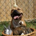 Harvey Barrett - @LatteBoyHB - Twitter