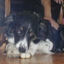 Carl Herbert Sr - @HerbSr - Twitter