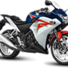 matheus81224339's profile picture. 