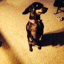 Sharon Colton - @secolton03 - Twitter