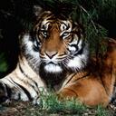 Bryan Bartlett - @hmsmath7 - Twitter