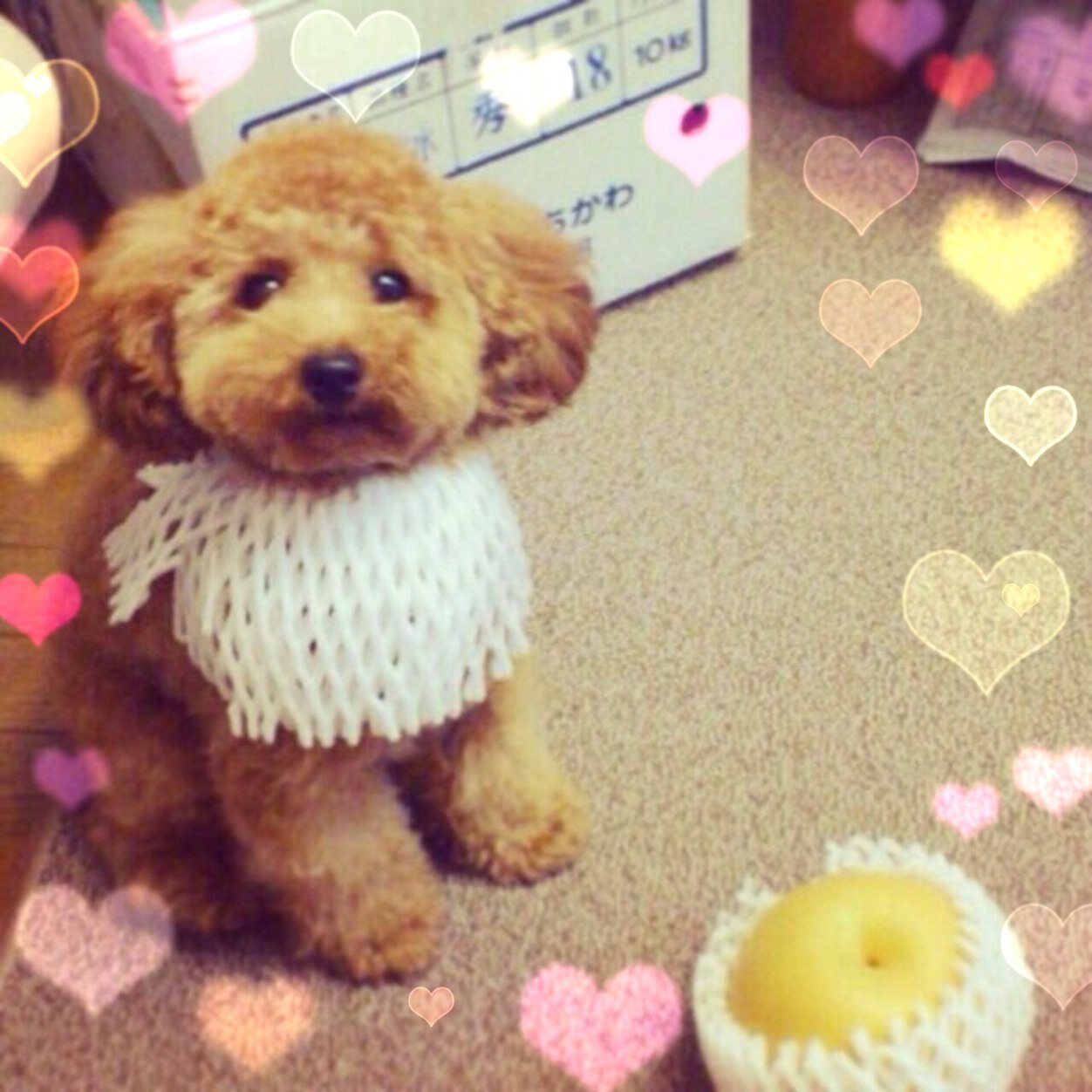 立教♡体育会水上スキー部マネ♡hrg