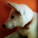 Liz Falconí - @LizFalcon6 - Twitter