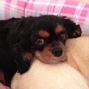 Bev Martin - @bevmartin87 - Twitter