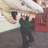 josh van zeeland  (@jswvz) 's Twitter Profile