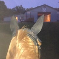 BarnManagerProbs (@barnmngerprobs) 's Twitter Profile Photo BarnManagerProbs (@barnmngerprobs) 's Twitter Profile Photo