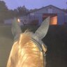 BarnMngerProbs's profile picture. Barn managing is my skill. Eventing is my dream. Dressage is my thing. And horses well...horse are my passion.