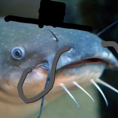 Sir Poisson Chat Mrfishcat Twitter Sir Poisson Chat Mrfishcat Twitter