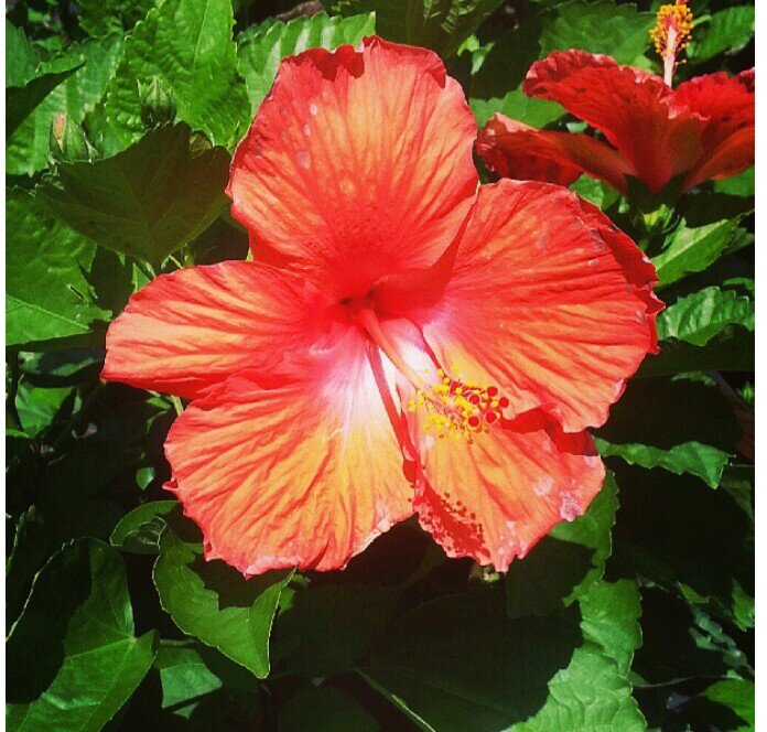 BeBe3016's profile picture. “People are just as happy as they make up their minds to be.”