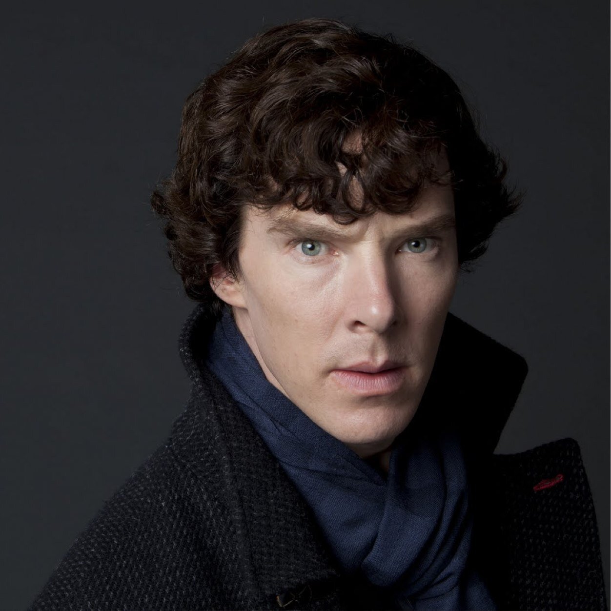 Consulting Detective.