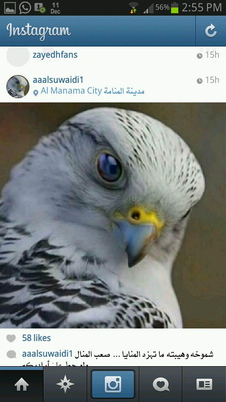 القناص