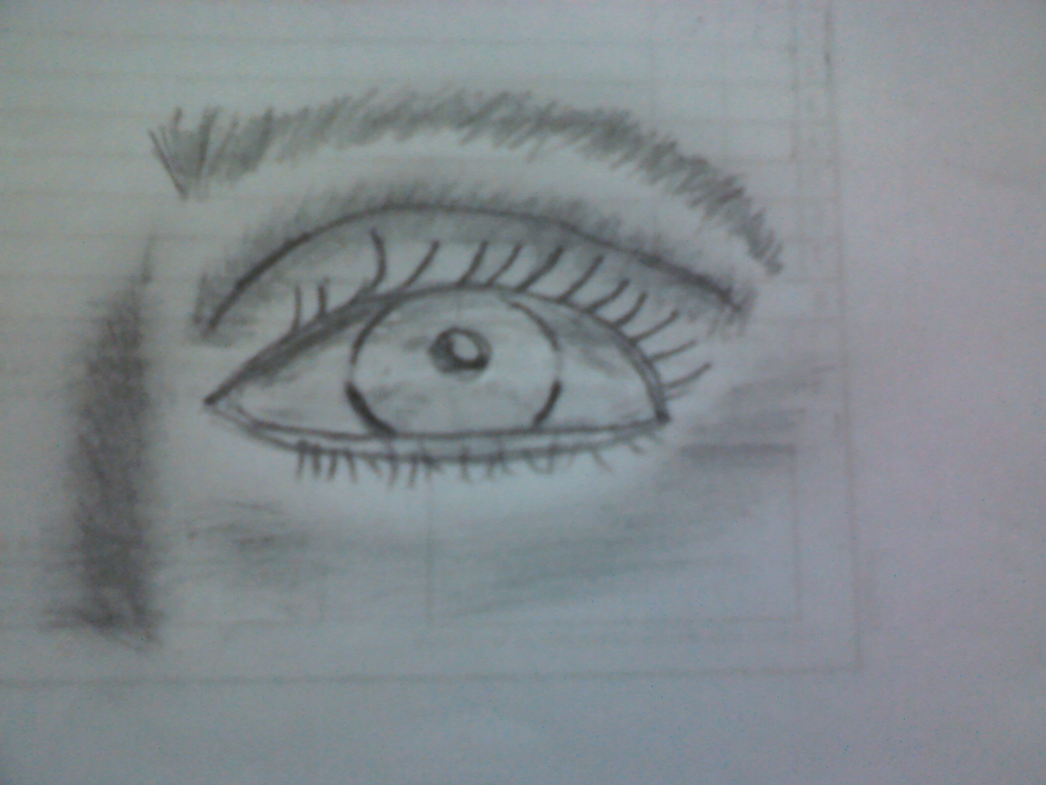 d_calvo77's profile picture. 