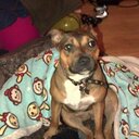 annie oconnor  - @annie140869 - Twitter