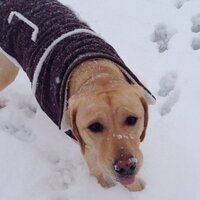 Dana edwards (@h0neybr0wn48) 's Twitter Profile