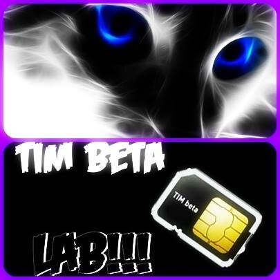 #ClubeFollowBack  #Timbeta