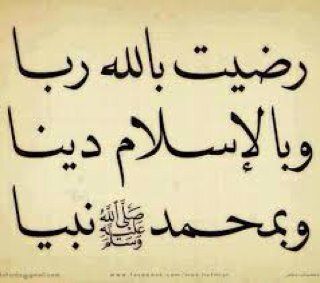 ShoodShoodi's profile picture. 