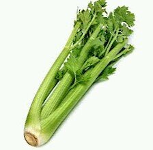 ApioSensual's profile picture. Ideas que mueven al mundo. Ideas sensuales. Amor sin igual.