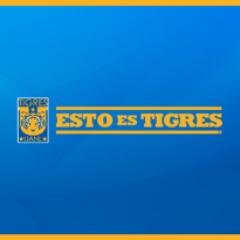 Tigre , incomparable , yo amo la lucha libre , abogado.