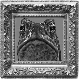 Its the LsdToad which is apart of the policy games , come watch and enjoy as your mind is blown by full on reference game play # pencil case!!!!