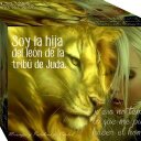 Doris Acosta - @lavacagorda - Twitter