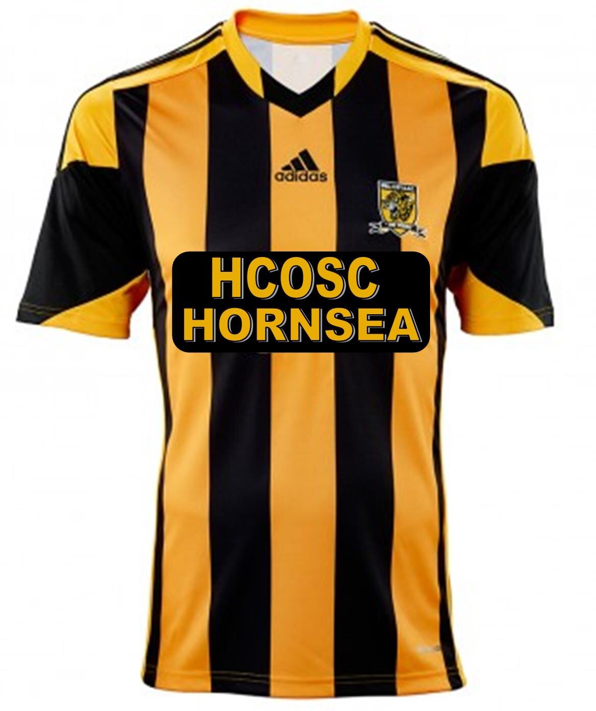 The Official Twitter account of the HULL CITY OFFICIAL SUPPORTERS CLUB-HORNSEA BRANCH #HCOSCsupportingCRY