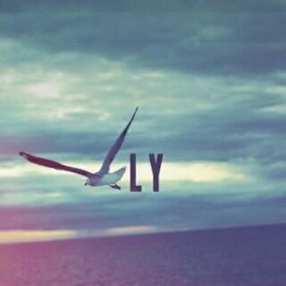 لا أتوه - ما دُمت لا أعرفُ الطريق أصلًا .