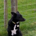 Tracy Brittain  - @tracebrittain67 - Twitter