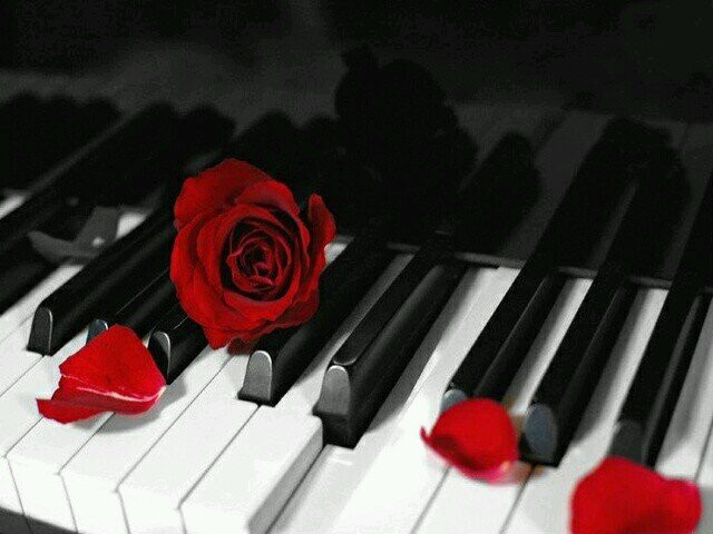 i plan to be a future singer so plz help me on that i mite start doing covers for songs so help me plz and if u follow me i will probably follow back