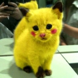 Penguinsrule400's profile picture. Is a bro