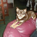 JOE SCUDDER - @lojo4237 - Twitter