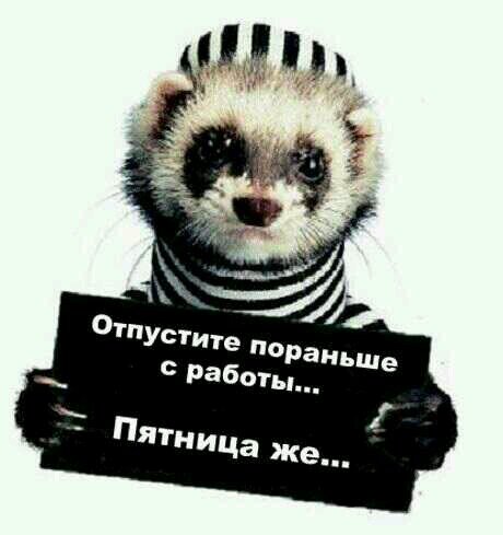 DevushkaAna's profile picture. I'm shouting for HELP, screaming SOS!!!!!! Can anyone hear me, or I'm just sending words to outer space?????