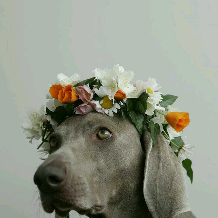 Carl19790's profile picture. 